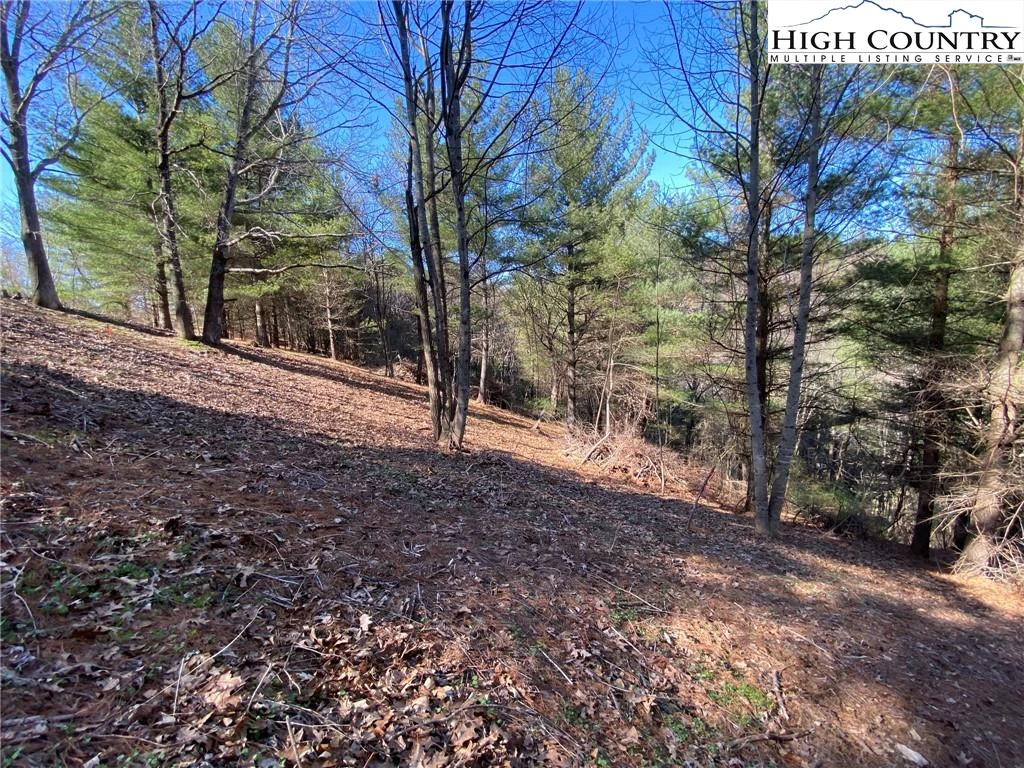 Image number 15 for the current listing
