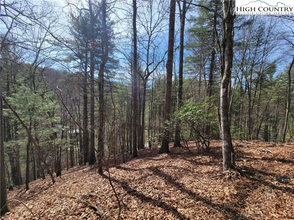 Image number 1 for the current listing