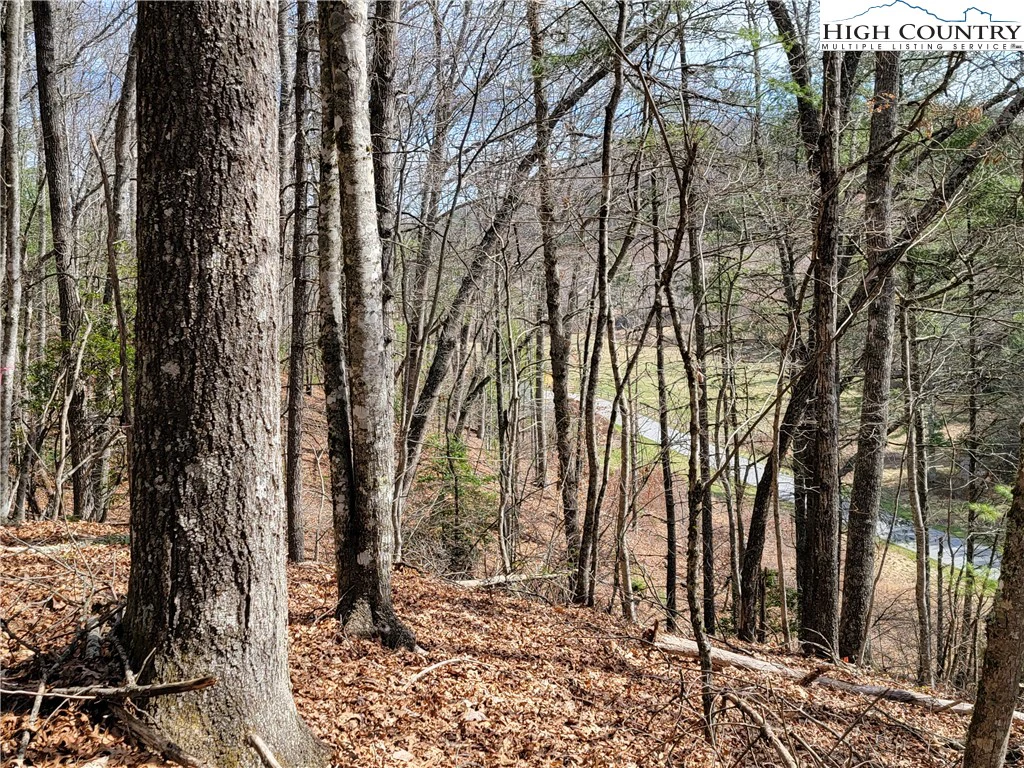 Image number 5 for the current listing