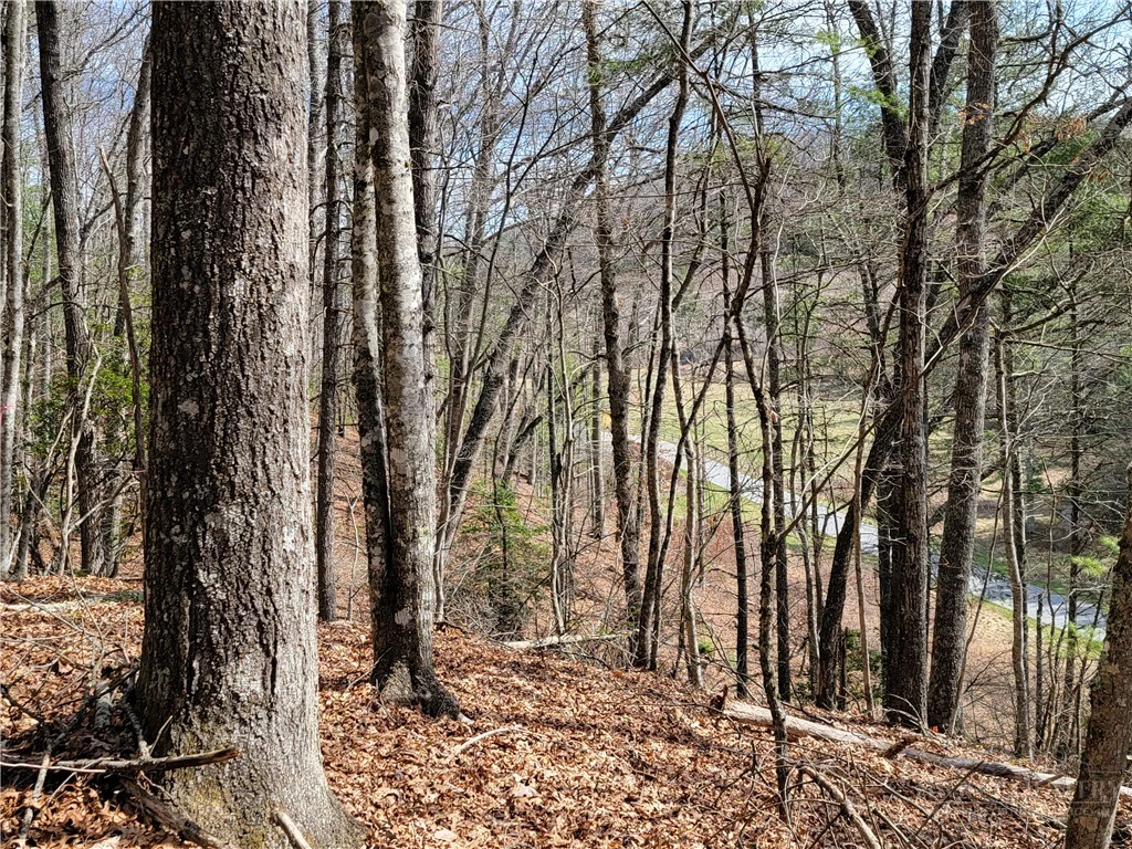 Image number 4 for the current listing