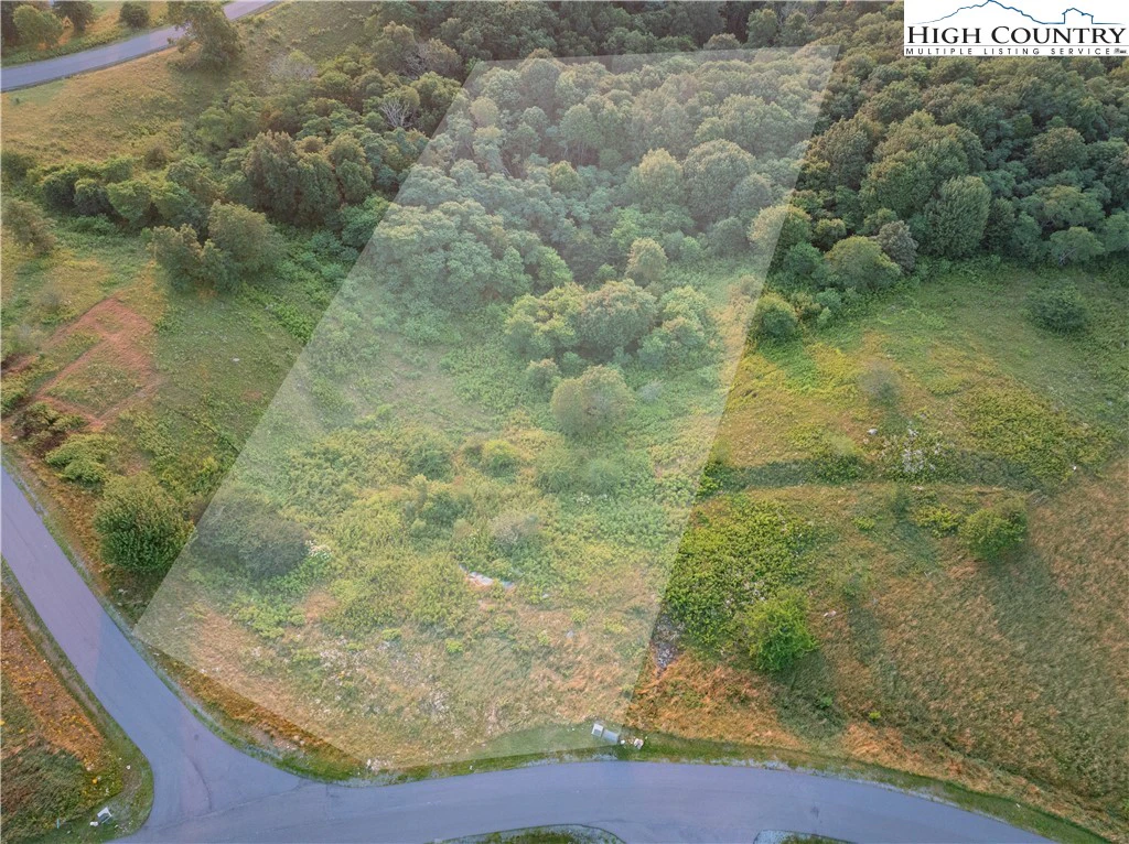 Image number 3 for the current listing