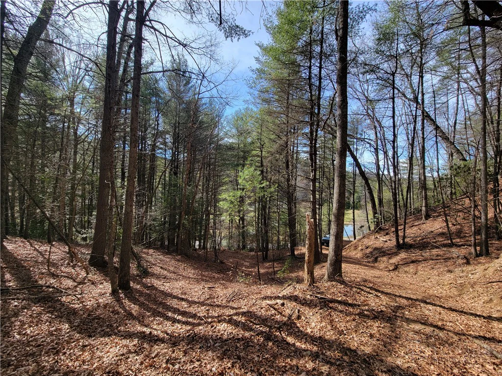 Image number 2 for the current listing