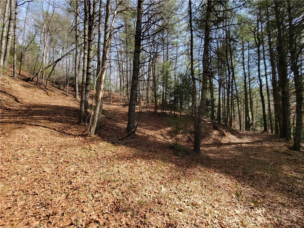 Image number 3 for the current listing