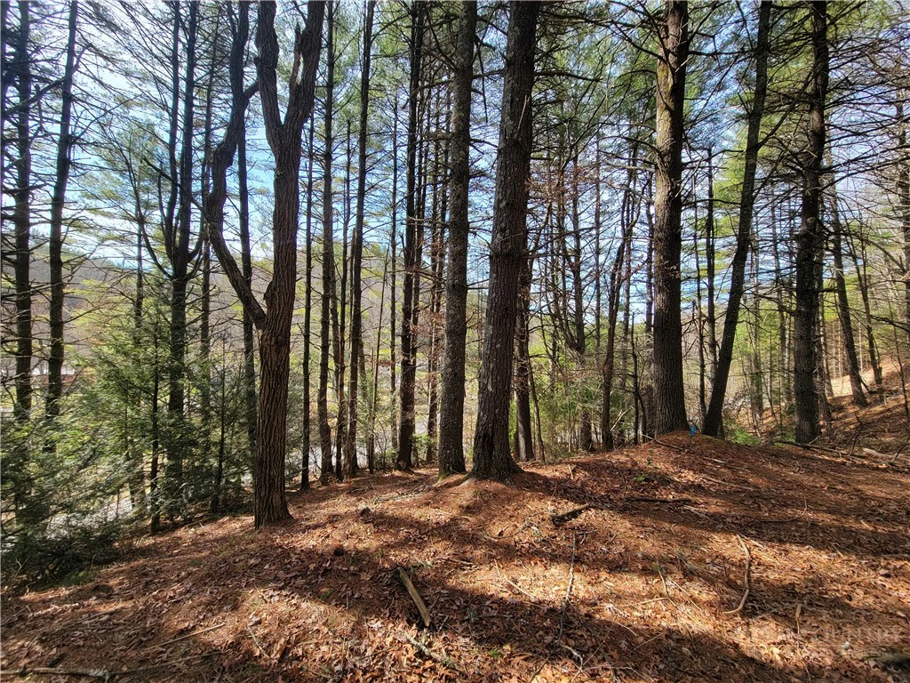 Image number 5 for the current listing