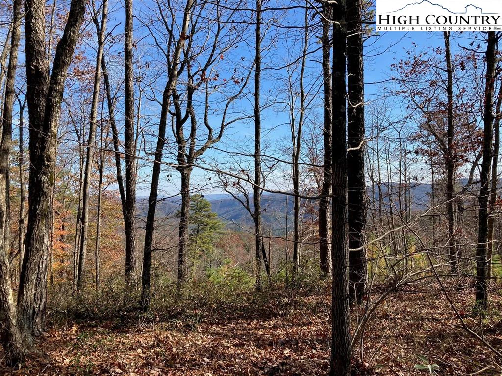 Image number 1 for the current listing