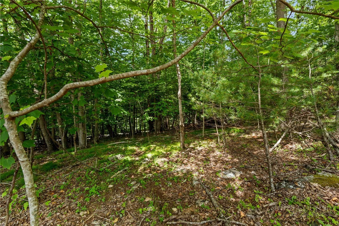 Image number 14 for the current listing