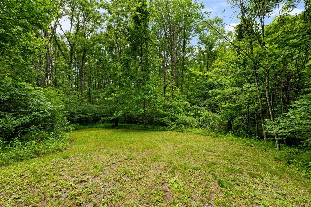 Image number 10 for the current listing