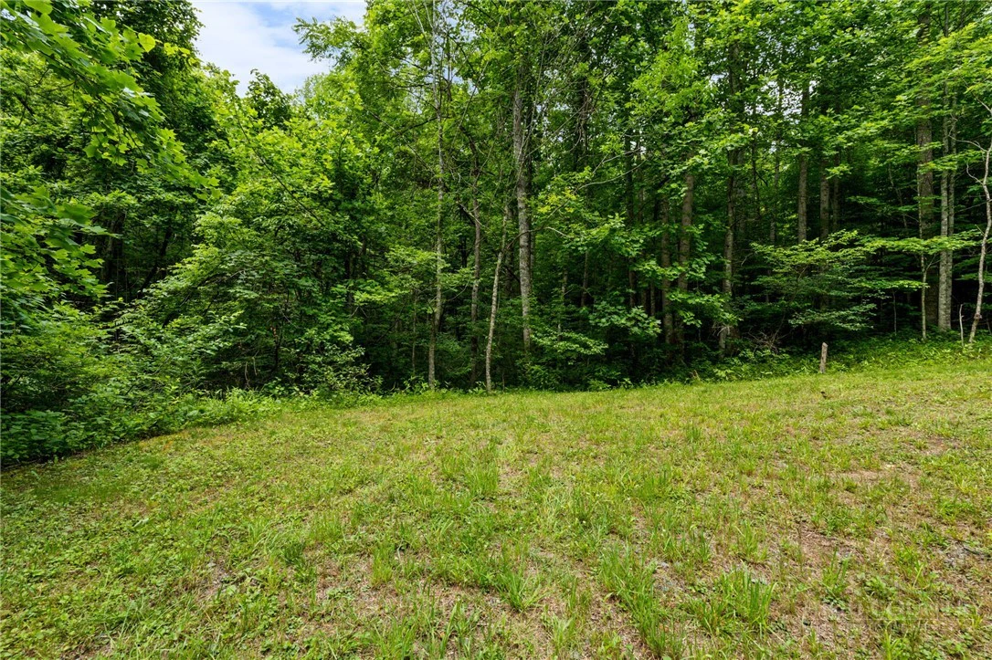Image number 11 for the current listing