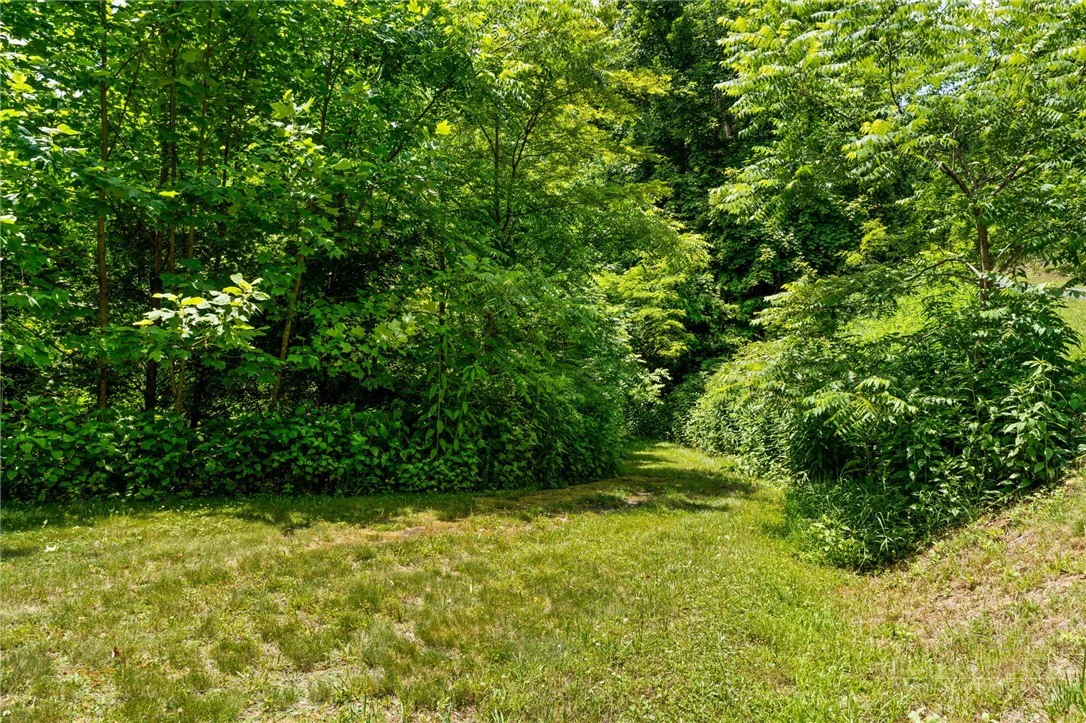 Image number 9 for the current listing