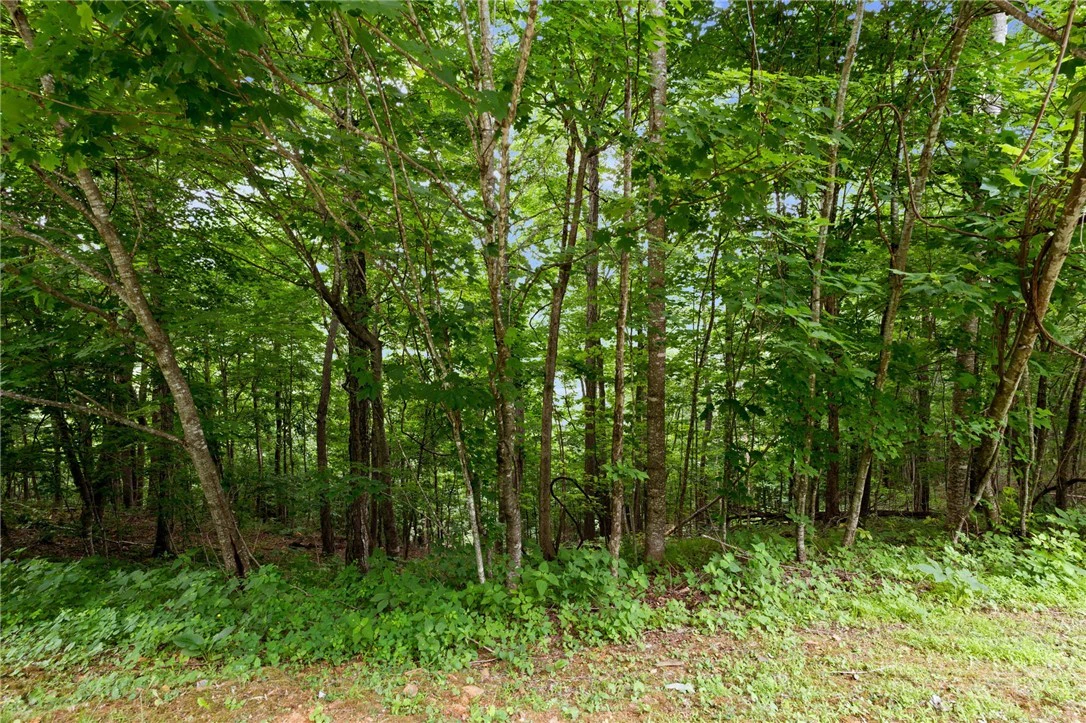 Image number 12 for the current listing