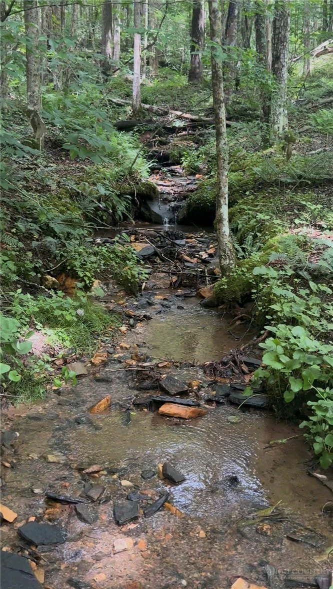 Image number 6 for the current listing
