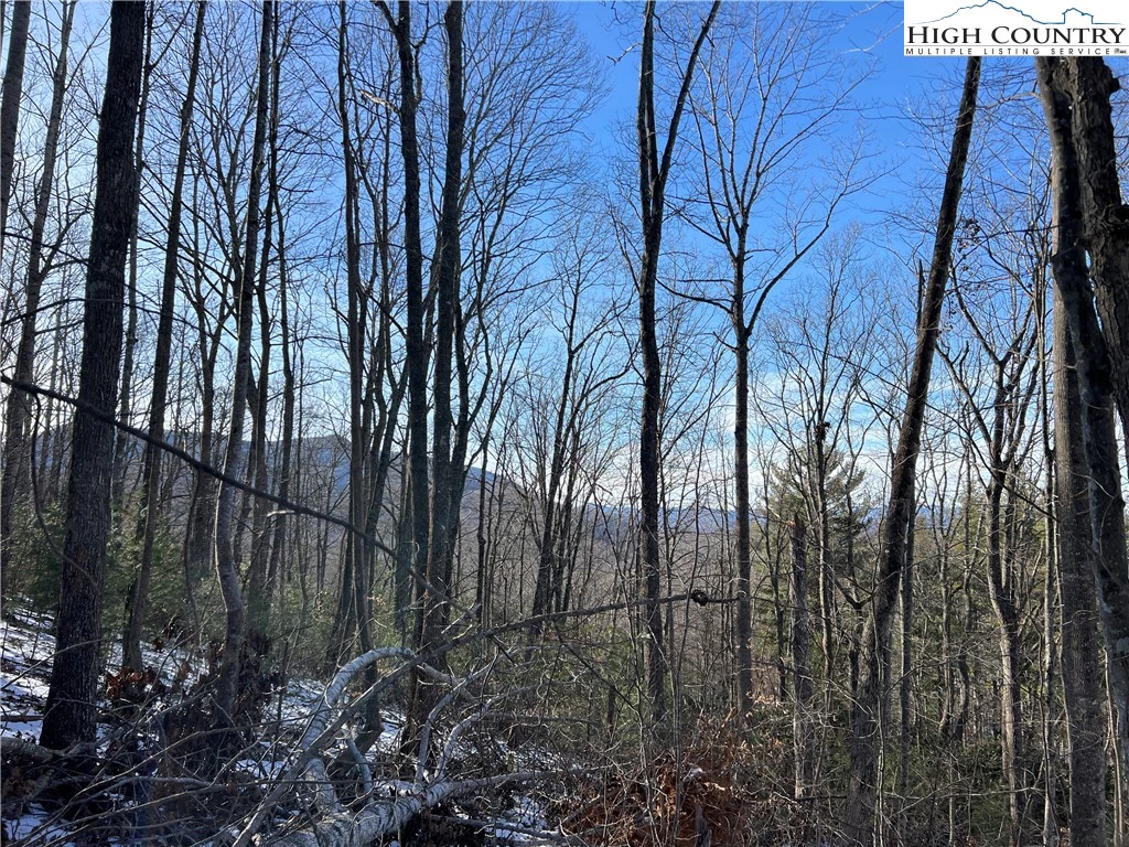 Image number 1 for the current listing