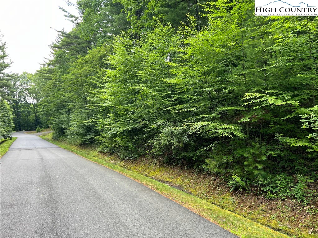 Image number 6 for the current listing
