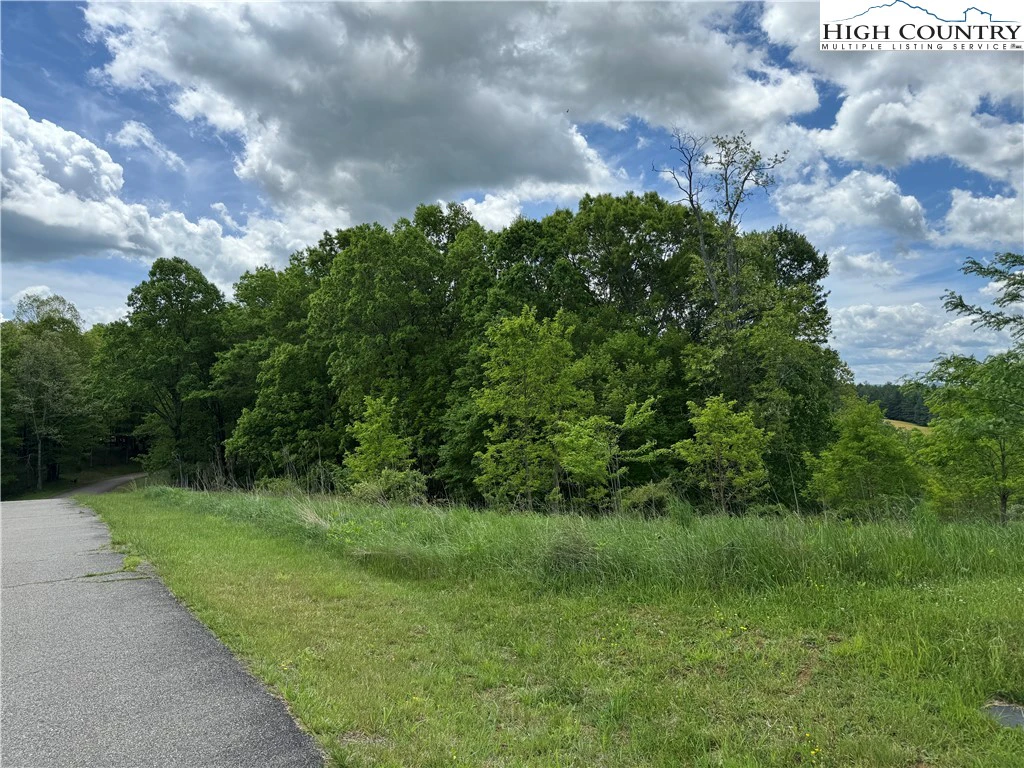 Image number 1 for the current listing