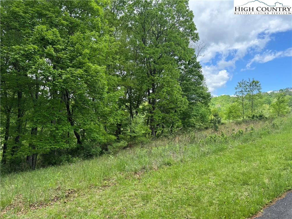 Image number 17 for the current listing