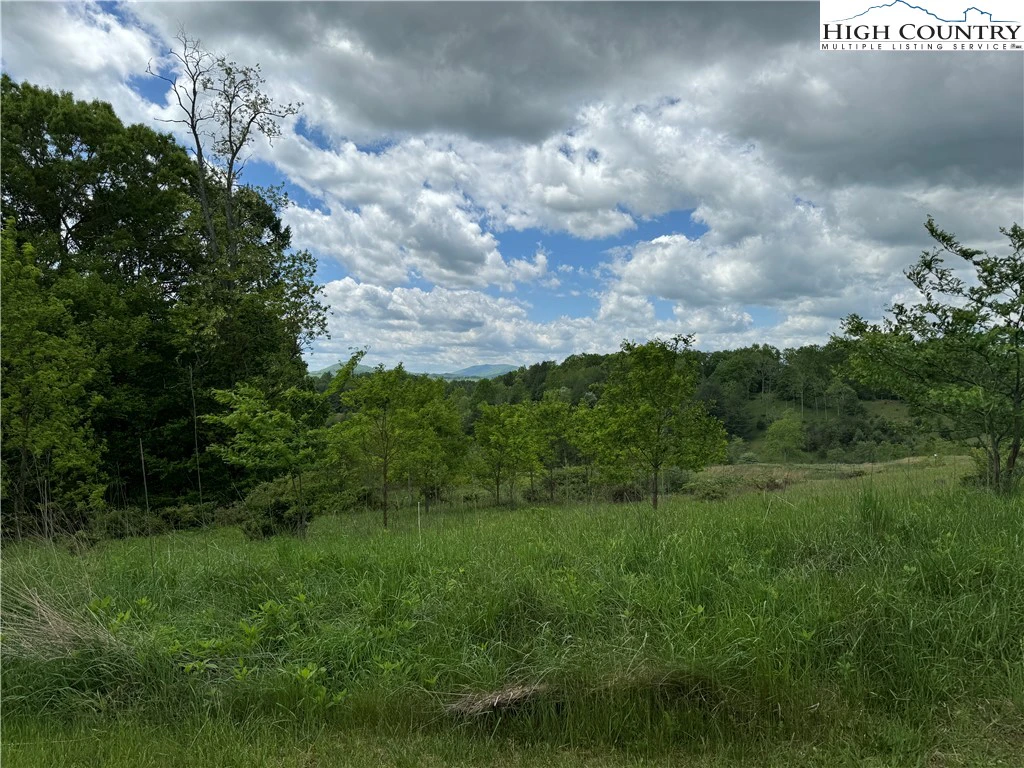 Image number 16 for the current listing