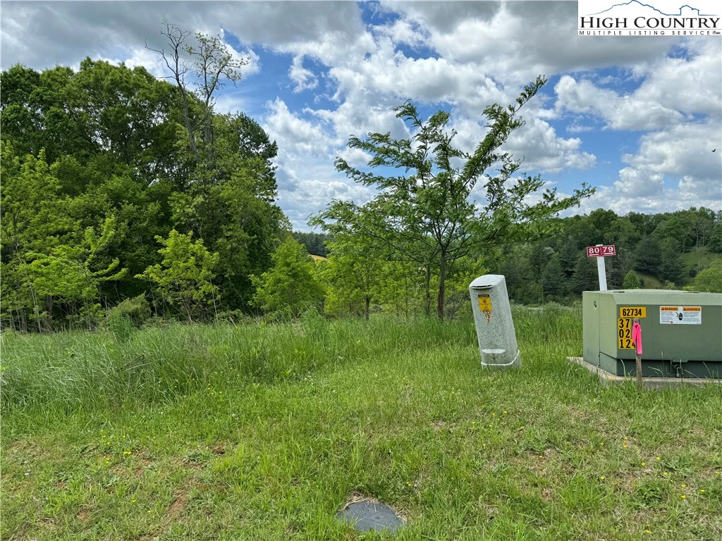 Image number 13 for the current listing