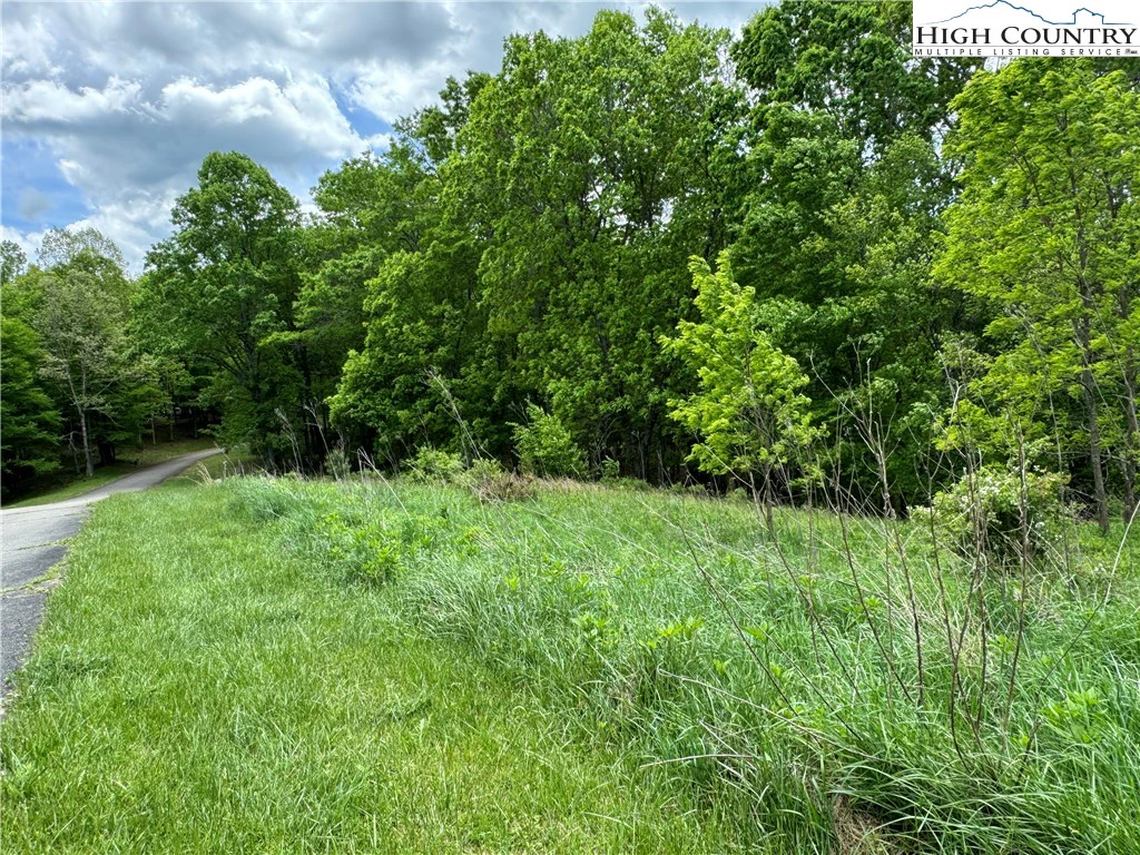 Image number 12 for the current listing