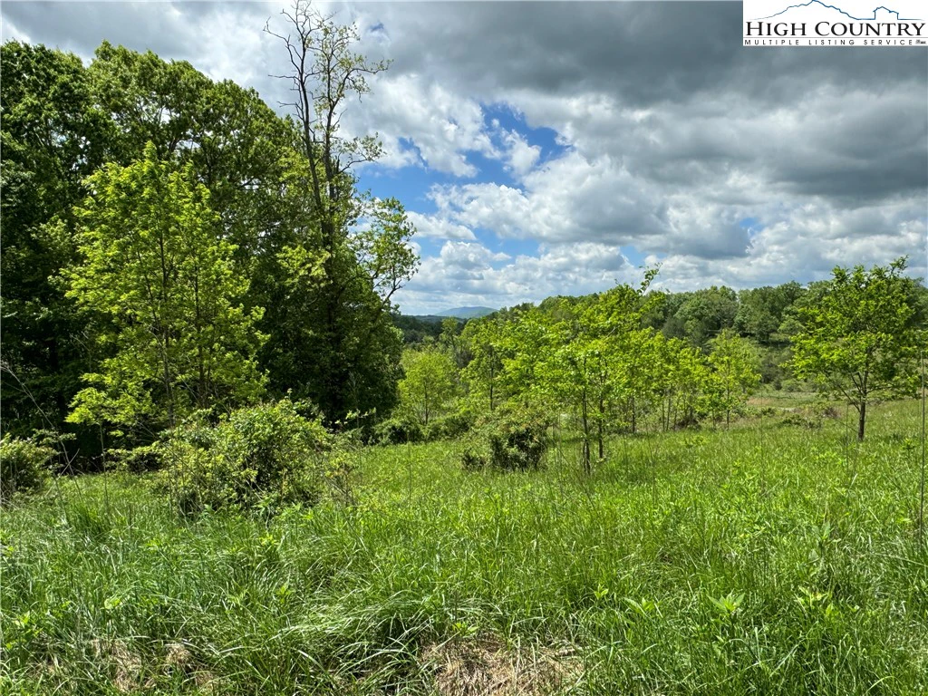Image number 11 for the current listing