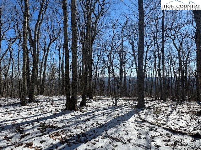 Image number 1 for the current listing