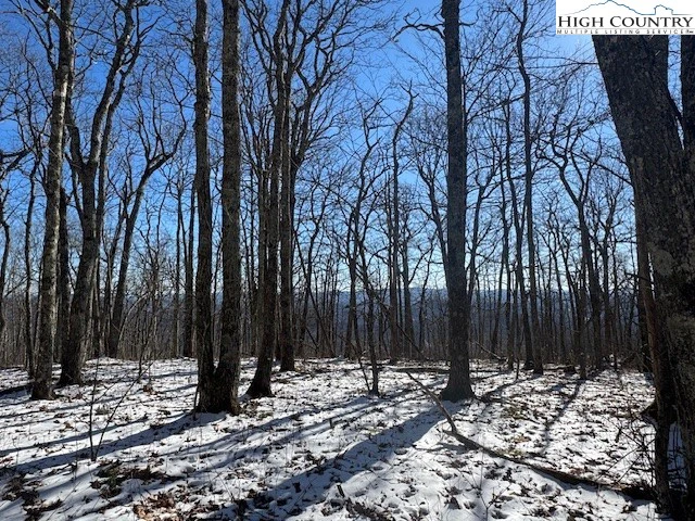 Image number 17 for the current listing
