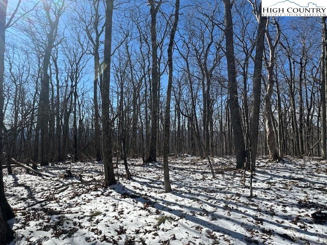 Image number 16 for the current listing