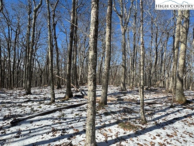 Image number 14 for the current listing