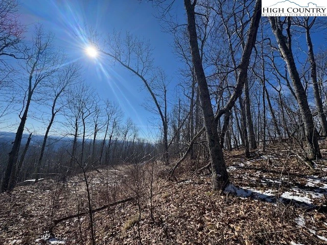 Image number 11 for the current listing