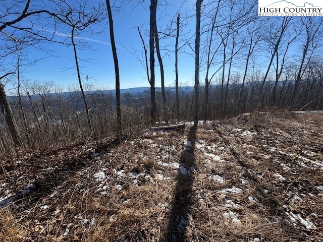 Image number 2 for the current listing