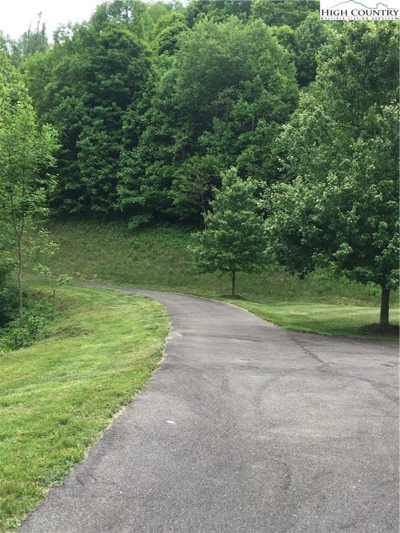 Image number 13 for the current listing