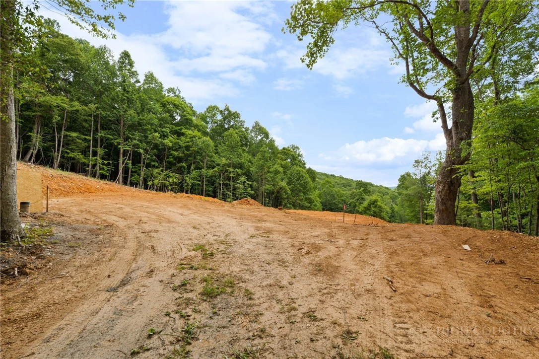 Image number 3 for the current listing