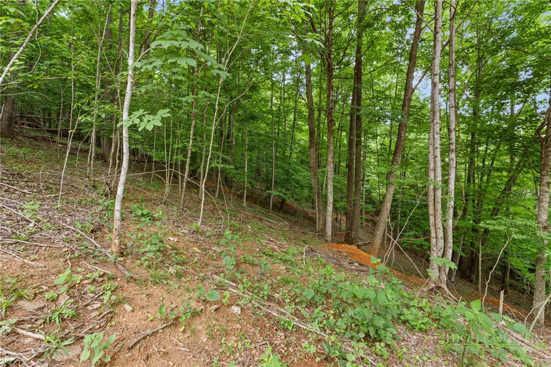 Image number 9 for the current listing