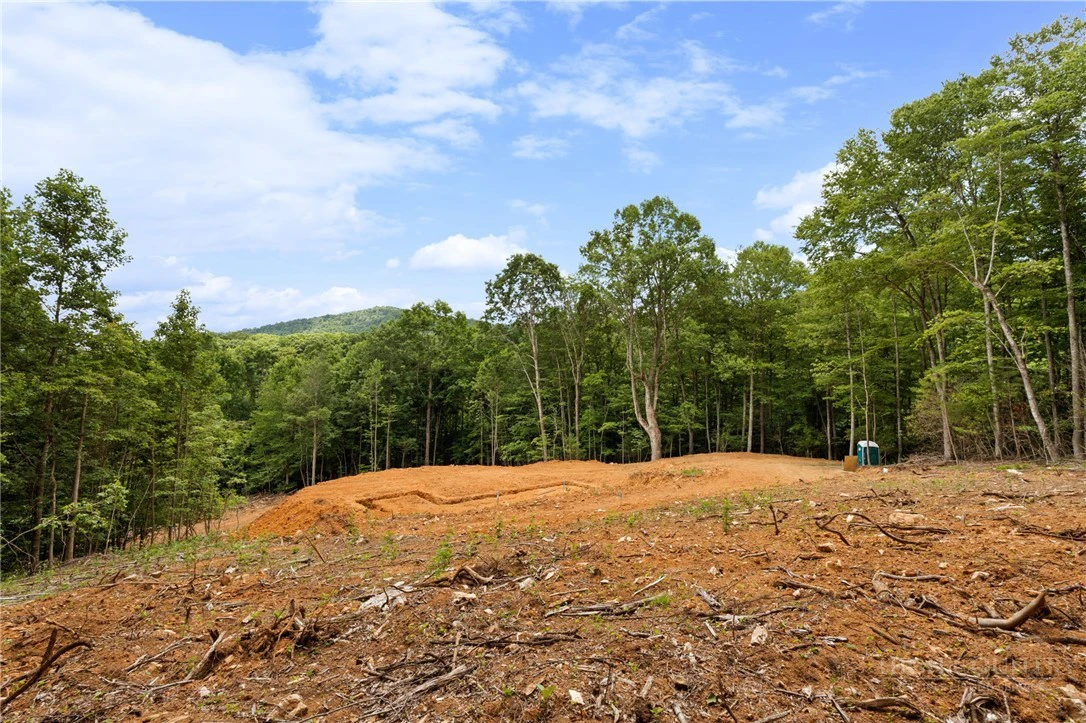 Image number 5 for the current listing