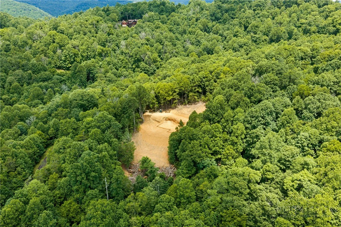 Image number 14 for the current listing