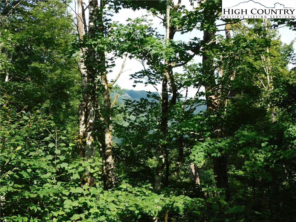 Image number 1 for the current listing