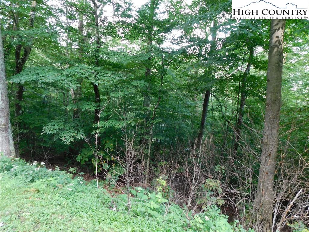 Image number 3 for the current listing