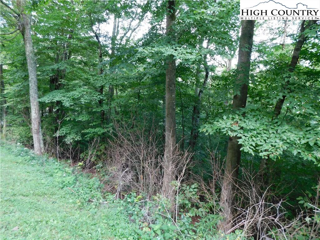 Image number 5 for the current listing