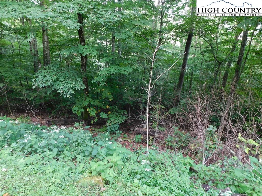 Image number 6 for the current listing