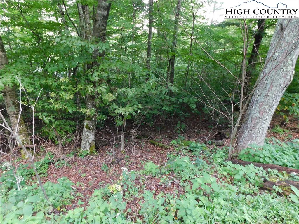 Image number 7 for the current listing