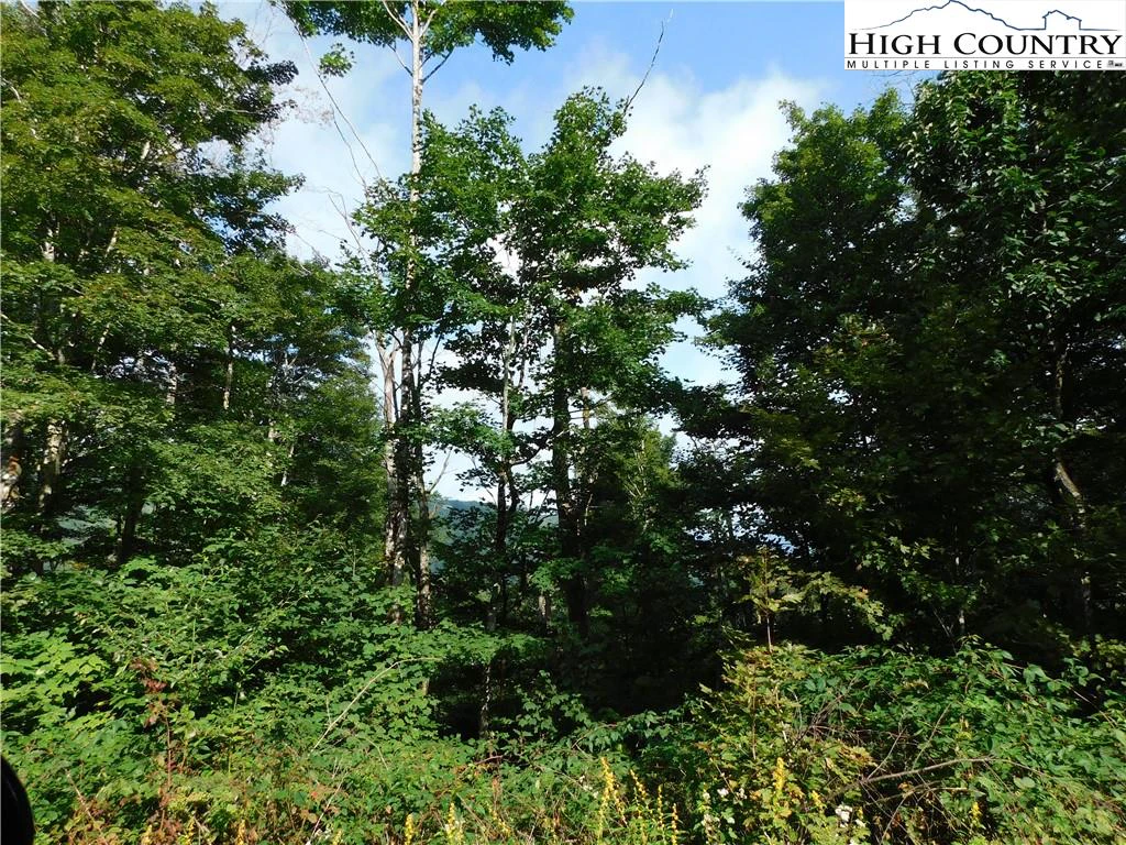 Image number 8 for the current listing
