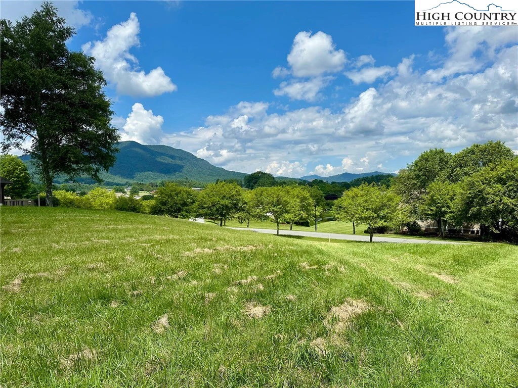Image number 1 for the current listing