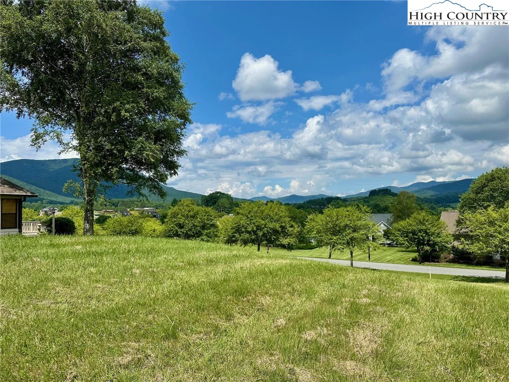 Image number 3 for the current listing
