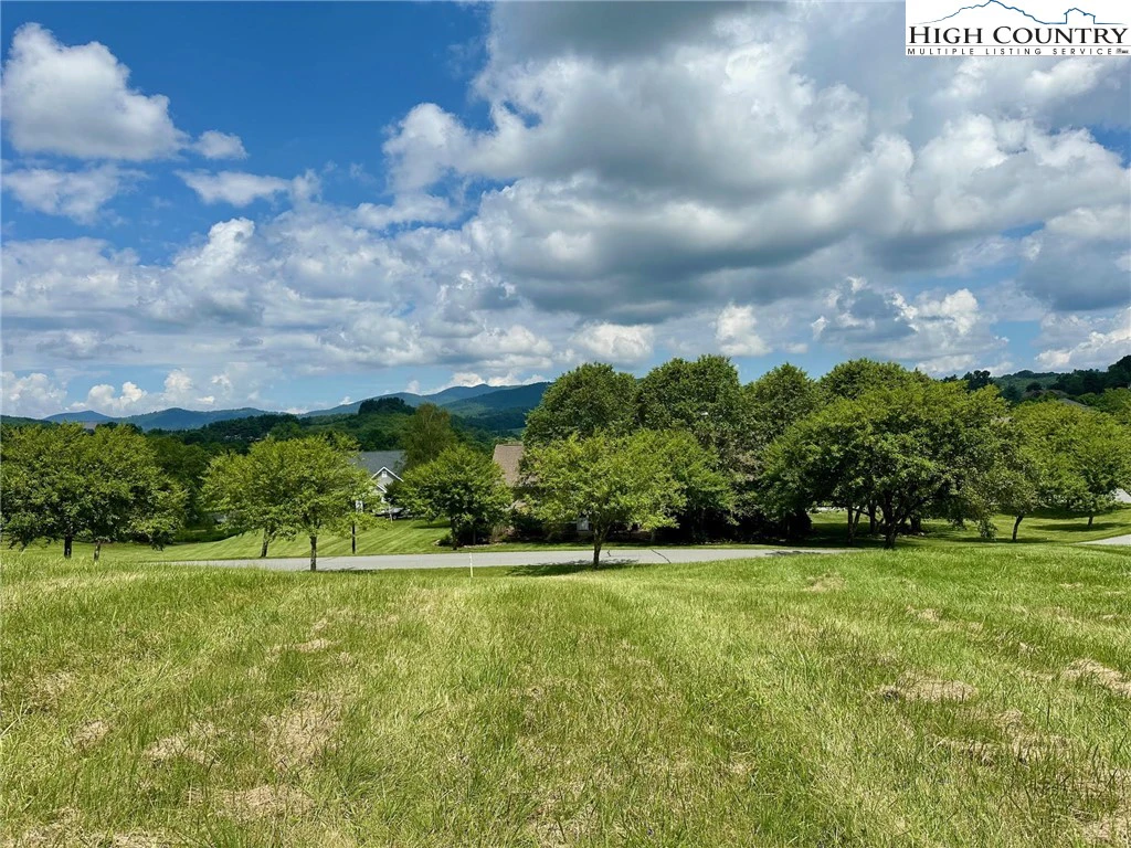 Image number 4 for the current listing