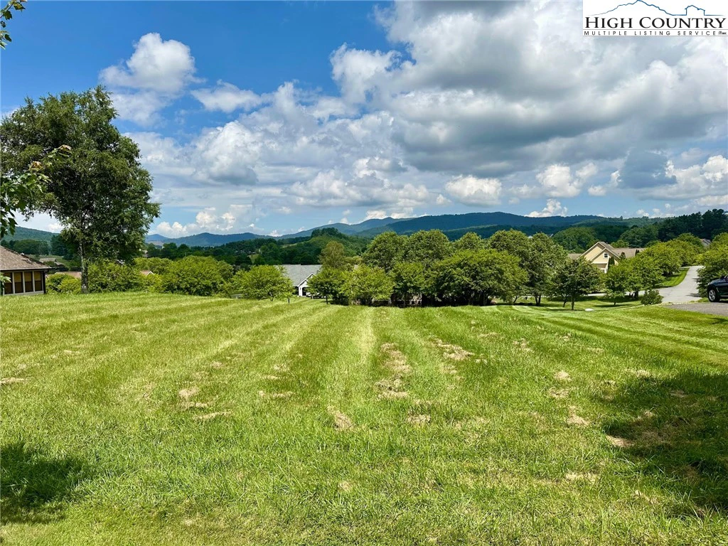 Image number 5 for the current listing