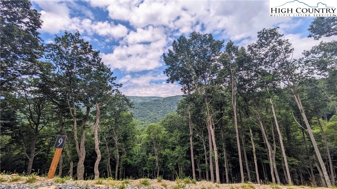 Image number 16 for the current listing