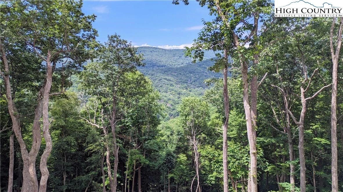 Image number 14 for the current listing
