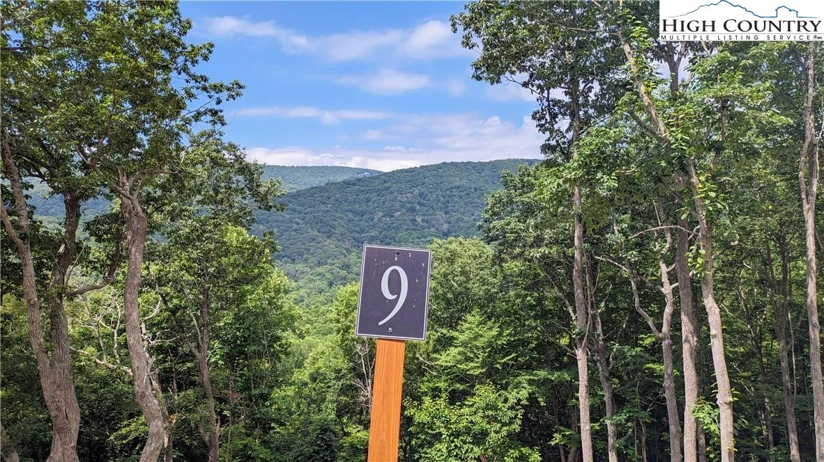 Image number 2 for the current listing