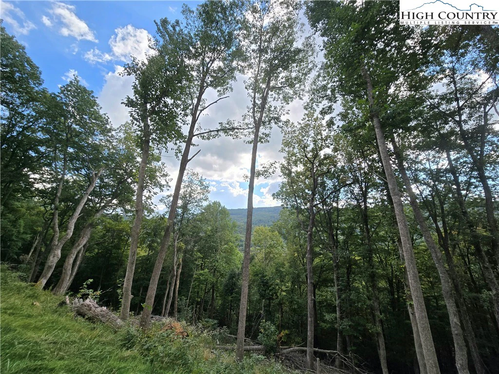 Image number 15 for the current listing