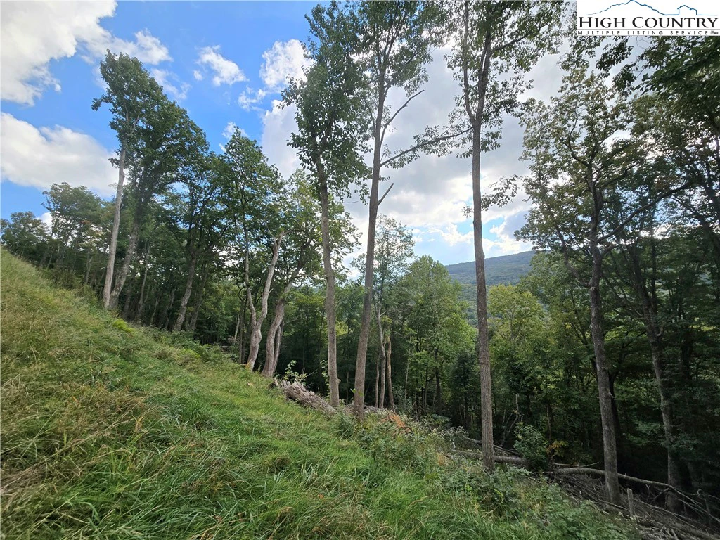Image number 13 for the current listing