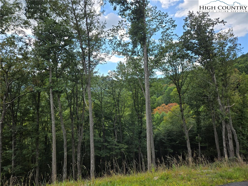 Image number 4 for the current listing